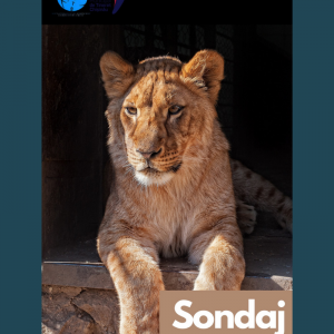 Atenție! Concurs pentru elevi!