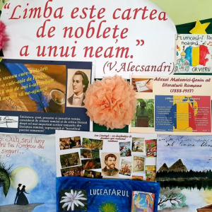 ,,Limba este însăși floarea sufleului etnic al românimii” (Mihai Eminescu)