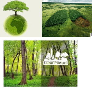 În NATURĂ, nimic nu se pierde, nimic nu se câștigă, ci se transformă!